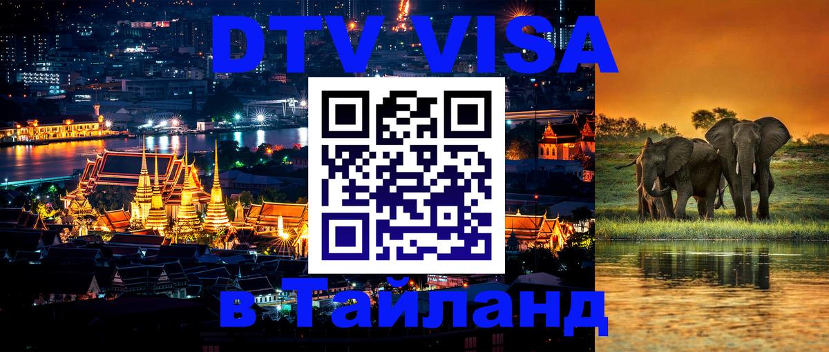 Сколько стоит DTV виза — актуальные цены, оформление даже без документов - 18.11.2025 